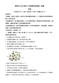 湖南省株洲市2026届高三上学期教学质量统一检测（一模）生物试题（Word版附解析）