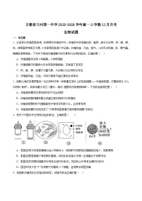 甘肃省兰州第一中学2025-2026学年高一上学期12月月考生物试卷（Word版附答案）