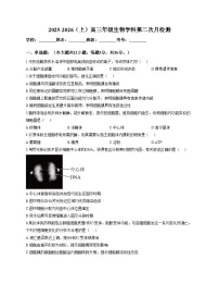 天津市和平区汇文中学2025_2026学年高三上学期第二次月考生物试卷（文字版，含答案）