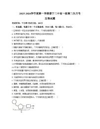 广东省揭阳市普宁市第二中学2025_2026学年高一上学期第二次月考生物试题（文字版，含答案）