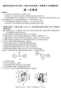 陕西省咸阳市实验中学2025-2026学年高一上学期第三次质量检测生物试卷（无答案）