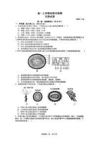 山东省枣庄市市中区枣庄市第三中学2025-2026学年高一上学期1月月考生物试题（月考）