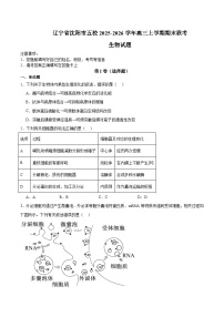 辽宁省沈阳市五校2026届高三上学期期末联考 生物试卷(含答案）