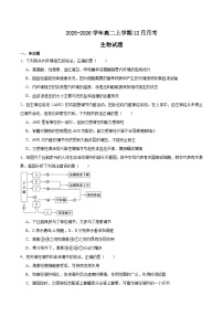 福建省龙岩市重点高中2025-2026学年高二上学期12月月考试题 生物（含答案）
