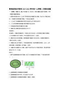 【生物】青海省海东市联考2025-2026学年高一上学期1月期末试题（学生版+解析版）