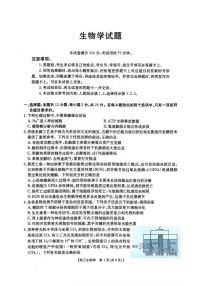 生物丨河北省金太阳“五个一”名校联盟2026届高三上学期1月联考试卷及答案
