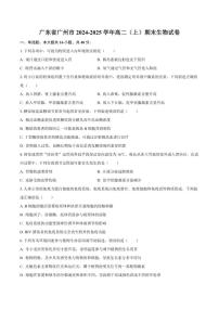 广东省广州市2024-2025学年高二上学期期末教学质量监测生物试卷（含解析）