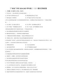 广东省广州市2024-2025学年高二上学期期末教学质量监测生物试卷（含解析）