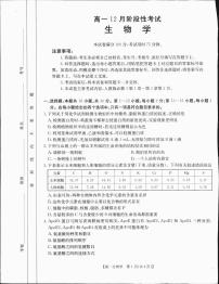 广西部分学校2024-2025学年高一上学期12月阶段性考试生物试题（无答案）