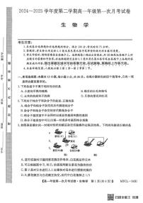 河北省沧州市三县联考2024-2025学年高一下学期3月第一次月考生物试卷（无答案）