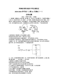 河南省信阳高级中学2024-2025学年高二上学期12月月考生物试题（含答案）