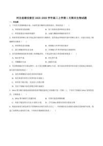 2026届河北省雄安新区高三上学期1月期末考试生物试卷（含答案）
