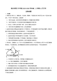 重庆市第八中学校2025-2026学年高二上学期第二次月考生物试题（Word版附答案）