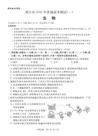 广东省湛江市2026届上学期高三一模 生物试题+答案解析