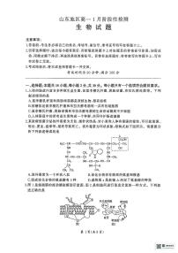 山东省济南市名校联考2025-2026学年高一上学期1月月考生物试题含答案解析