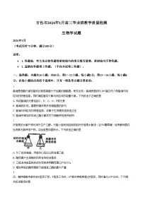 广西壮族自治区百色市2025_2026学年高三上学期1月期末生物试题（文字版，含答案）