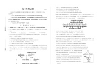山东省德州市2025-2026学年度2026届高三年级上学期期末生物试卷