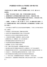 四川省泸州市泸县普通高中共同体2024-2025学年高二上学期11月期中考试生物试卷（含答案）