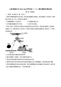 山东省烟台市2025-2026学年高三（上）期末模拟生物试卷