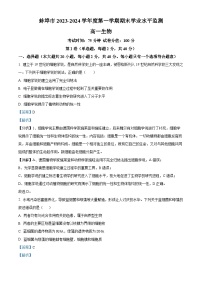安徽省蚌埠市2023-2024学年高一1月期末生物试题  含解析