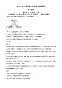 江苏省宿迁市2024-2025学年高二上学期11月期中生物试题 Word版含解析