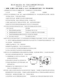 2026届重庆市高三上第一次联合诊断检测生物学试卷（含答案）