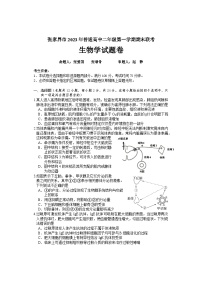 湖南省张家界市2023-2024学年高二上学期期末考试生物  含答案
