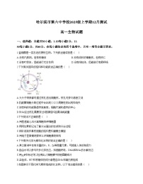 黑龙江省哈尔滨市第六中学校2025_2026学年高一上学期12月月考生物试题（文字版，含答案）