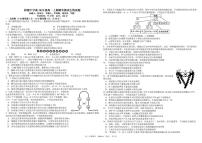 四川省成都市树德中学2025-2026学年高一上学期期末考试生物试卷（PDF版附答案）