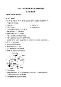 北京市朝阳区2025_2026学年高二上学期期末生物试卷（扫描版，含答案）