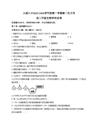 天津市滨海新区大港第八中学2025_2026学年高三上学期第二次月考生物试卷（文字版，含答案）