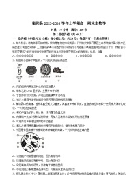 湖南省衡阳市衡阳县2025-2026学年高一上学期期末生物试卷（含答案）