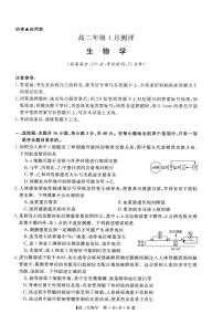 河南省周口市重点高中2025-2026学年高二上学期1月测评生物试题（图片版，含答案）