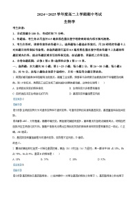 广东省深圳市深圳盟校2024-2025学年高二上学期11月期中考试生物试题  含解析