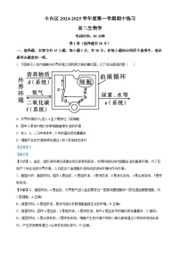 北京市丰台区2024-2025学年高二上学期11月期中考试生物试题（含答案）