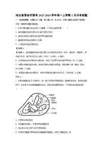 【生物】河北省邢台市联考2025-2026学年高一上学期1月月考试题（学生版+解析版）