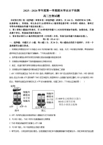 山东青岛市2025-2026学年度第一学期期末学业水平检测高三生物试题（试卷+解析）