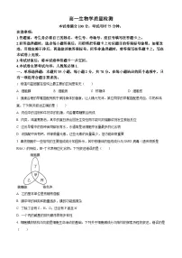辽宁省辽阳市2025-2026学年高一上学期1月期末生物试题（试卷+解析）
