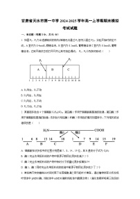 甘肃省天水市第一中学2024-2025学年高一上学期期末模拟考试生物试题（Word解析版）