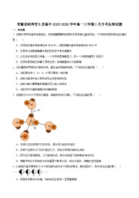 安徽省芜湖市重点高中2025-2026学年高一上学期1月月考试题 生物(含答案）