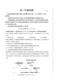 山东省德州市2025-2026学年度高三上学期期末考试生物学试卷含答案