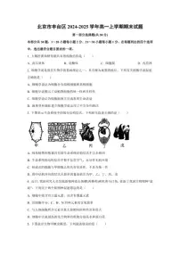 2024-2025学年北京市丰台区高一上学期期末考试生物试题（含答案）