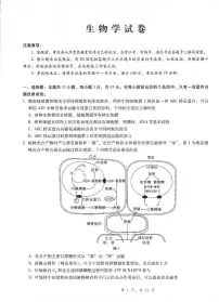 重庆市第八中学2025届高三下学期5月适应性月考卷（八）生物试卷（含答案）