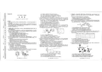 生物-河南省新未来2026届高三年级上学期2月期末测评试卷及答案