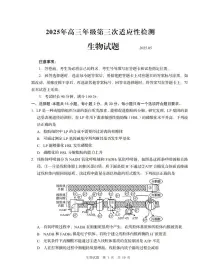 山东省青岛市2025年高三年级下学期第三次适应性检测（青岛三模）生物试卷（含答案）