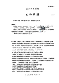 山东省泰安市2025届高三下学期四模检测（泰安四模）生物试卷（含答案）