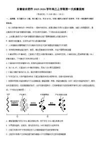 2025-2026学年安徽省合肥市高三上学期期末第一次质量监测生物试卷（学生版）