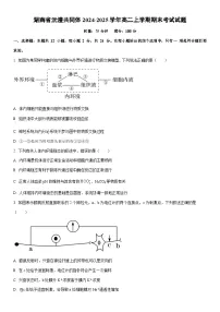2024-2025学年湖南省沅澧共同体高二上学期期末考试生物试卷（学生版）