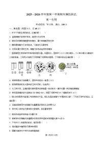贵州省松桃民族中学2025-2026学年高一上学期期末模拟测试生物试卷（含答案）