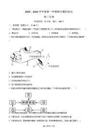 贵州省铜仁市松桃民族中学2025-2026学年高二上学期期末模拟测试生物学试卷（含答案）
